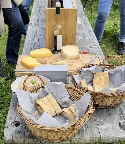 2025 Weinberg Käse